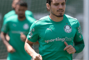 treino do palmeiras
